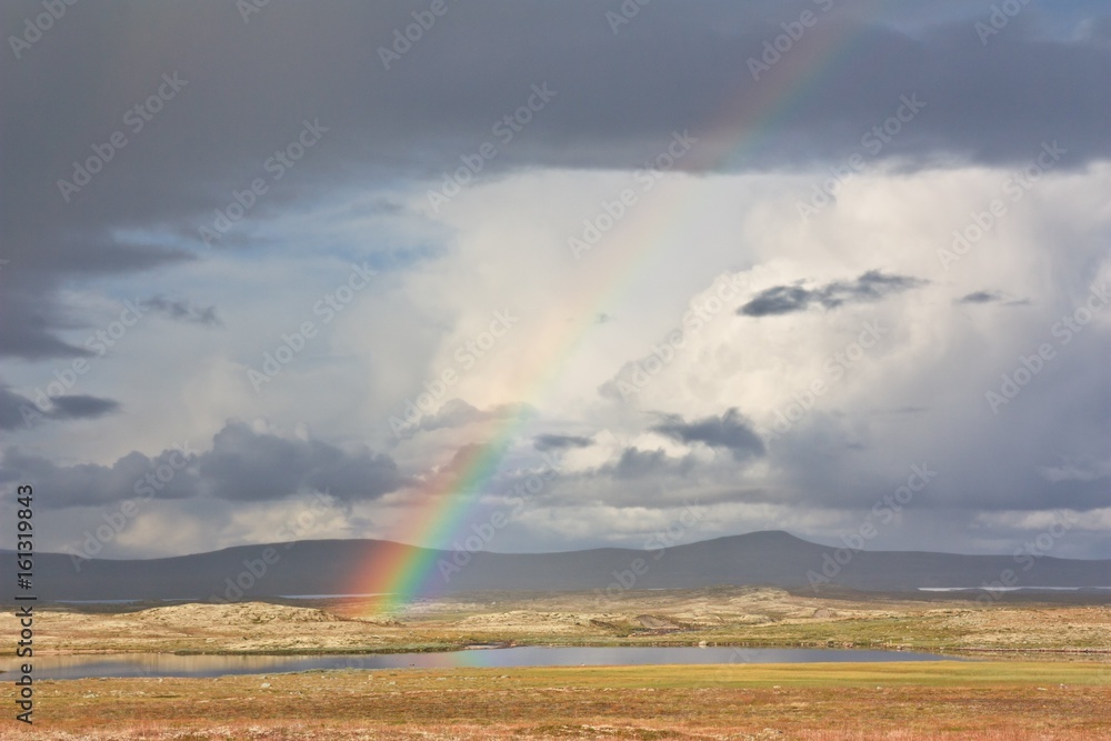 Beautiful rainbow after a rain shower in the vastness of the