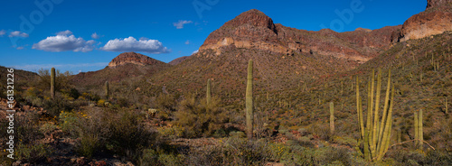 Organ Pipe Cactus National Park