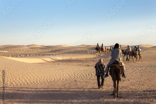 Fotomurale экскурсия в Сахару на верблюдах