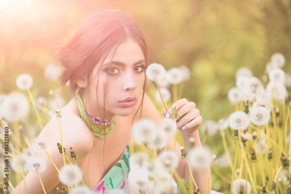 dandelion field and pretty girl with fashionable makeup dandelion field and pretty girl with fashionable makeup