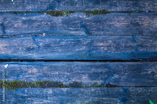 Old board with moss.
