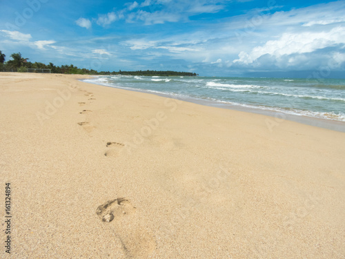  beach and tropical sea