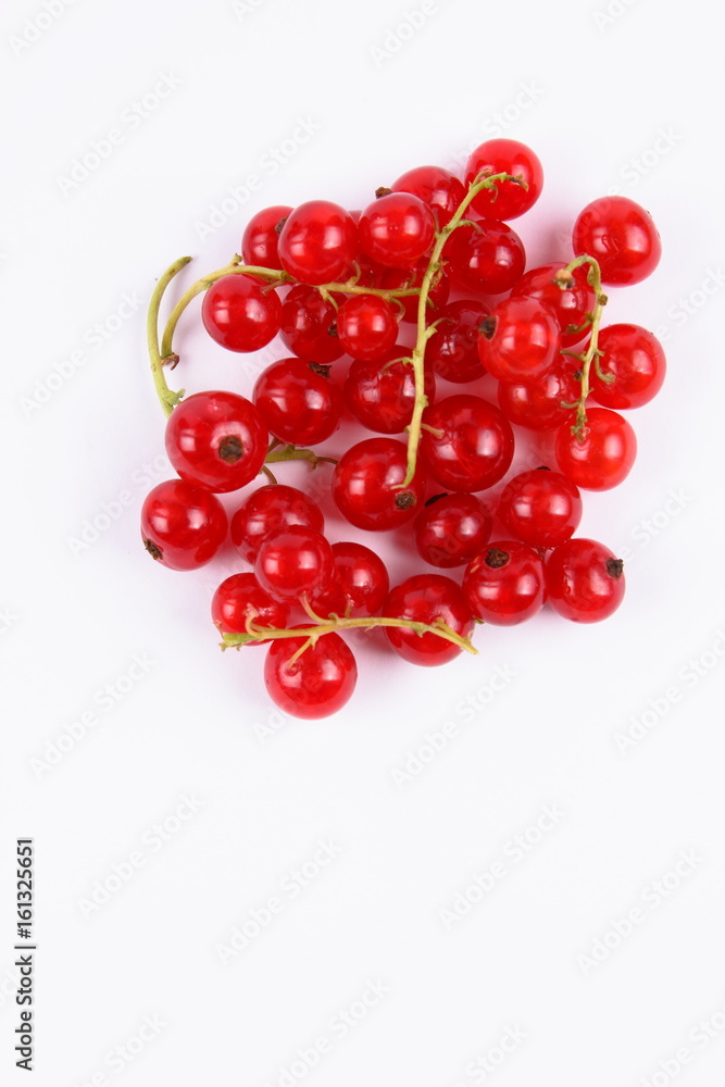 Red currant in a vacuum Red currant in a vacuum