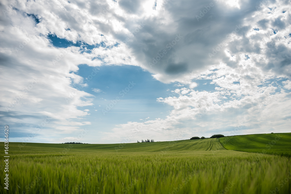 Green field Slovakia