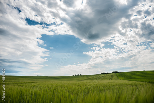 Green field Slovakia