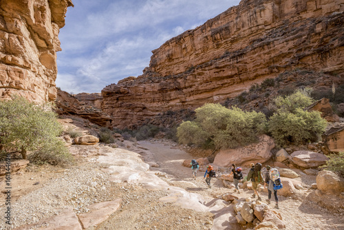 Group of Hikers backpacking through the Grand Canyon to Havasu Falls photo