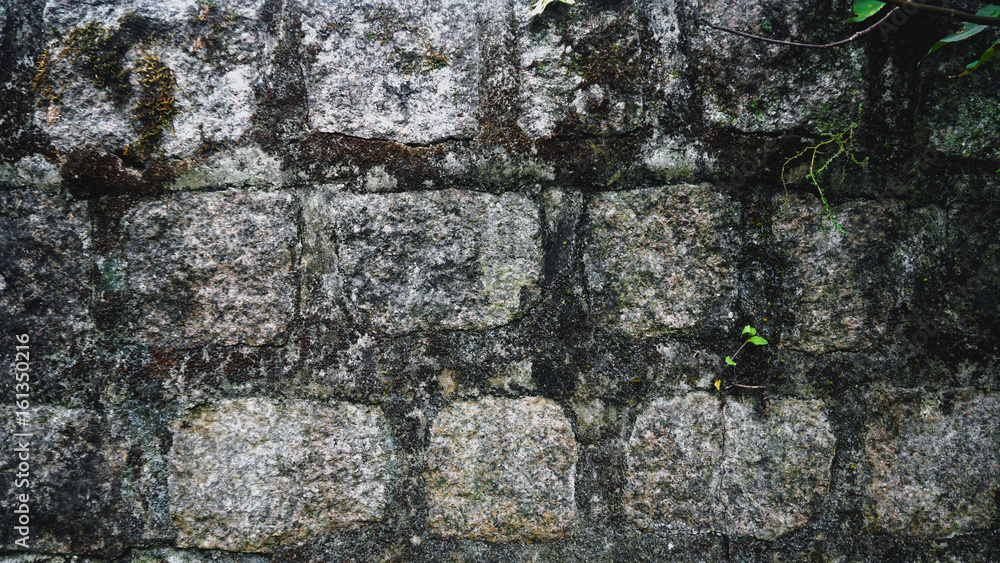 Wall of irregular stones