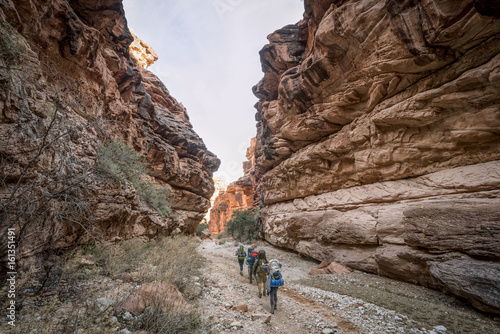 Group of Hikers backpacking through the Grand Canyon to Havasu Falls photo