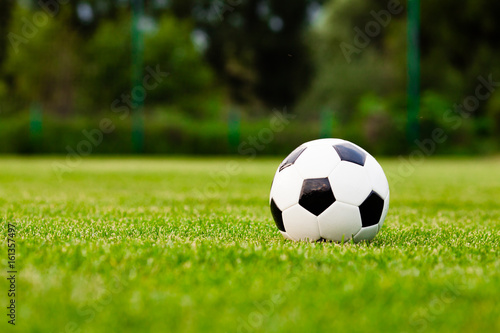 Soccer ball on the grass before the game © oksix