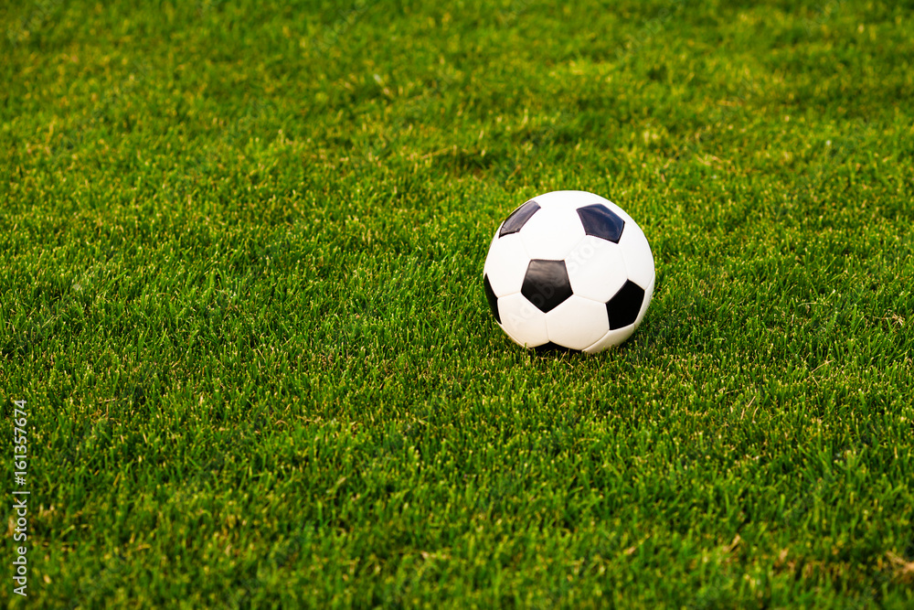 Fototapeta premium Soccer ball on the grass before the game
