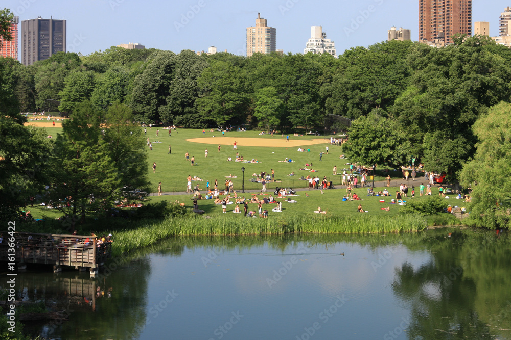 Obraz premium Relaxing at Central Park close to the lake on a beautifull sunny day, buildings in the background