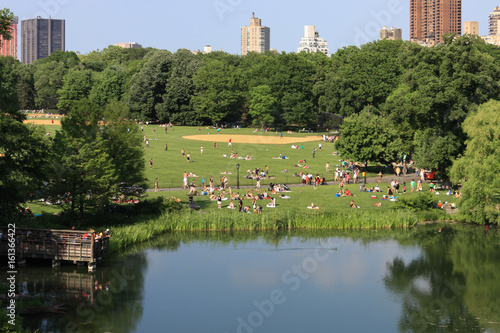 Relaxing at Central Park close to the lake on a beautifull sunny day, buildings in the background