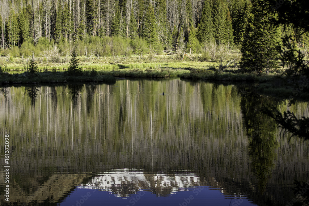 Reflective mountain lake scene