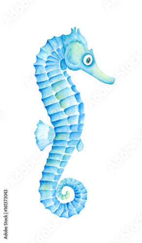 Funny blue seahorse. Watercolor illustration