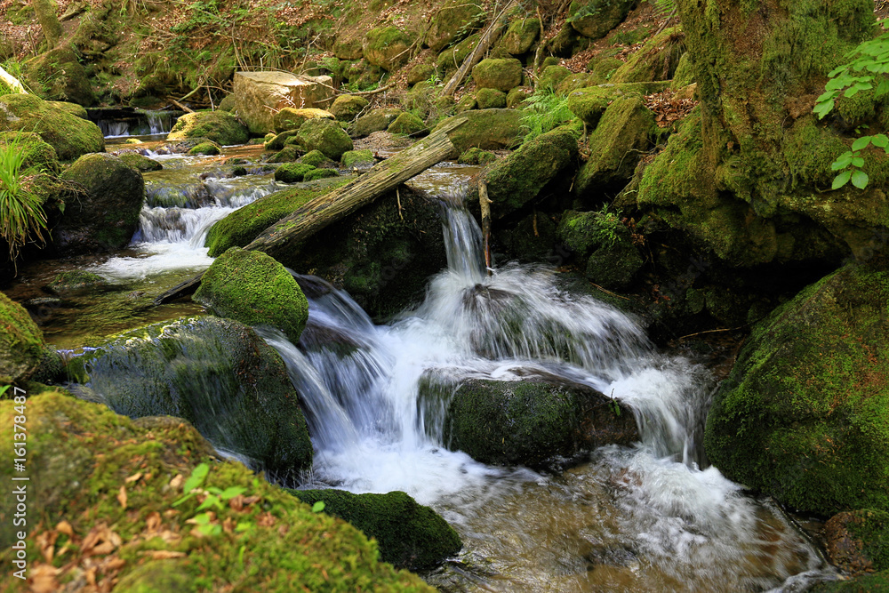 Fototapeta premium Gertelbach waterfalls, Black Forest, Germany