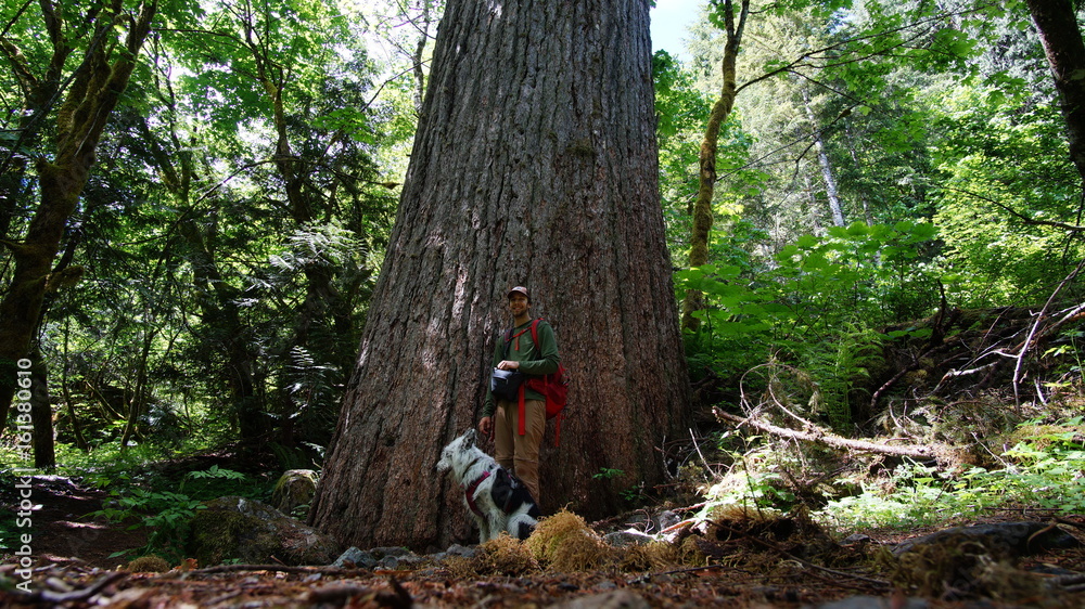Exploring the Pacific Northwest, Washington State Exploring the Pacific Northwest, Washington State