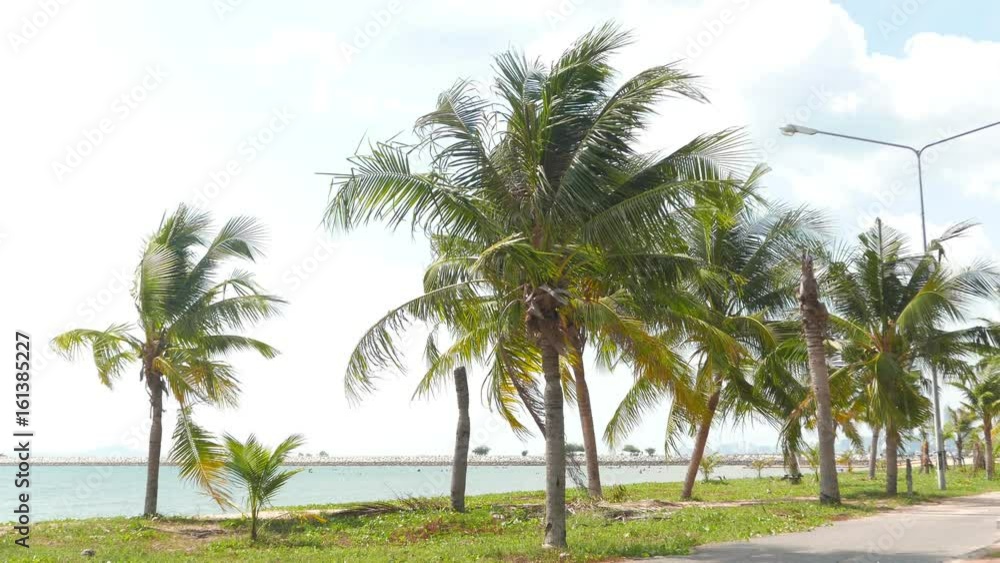 Tropical beach and coconut palms in Haad Baan Amphur, Chon Buri, Thailand, Asia Tropical beach and coconut palms in Haad Baan Amphur, Chon Buri, Thailand, Asia