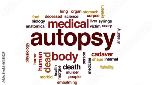 Autopsy animated word cloud, text design animation. photo