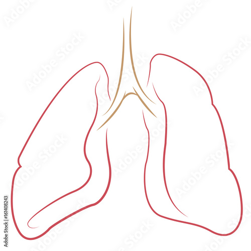 Simple line drawing of lungs