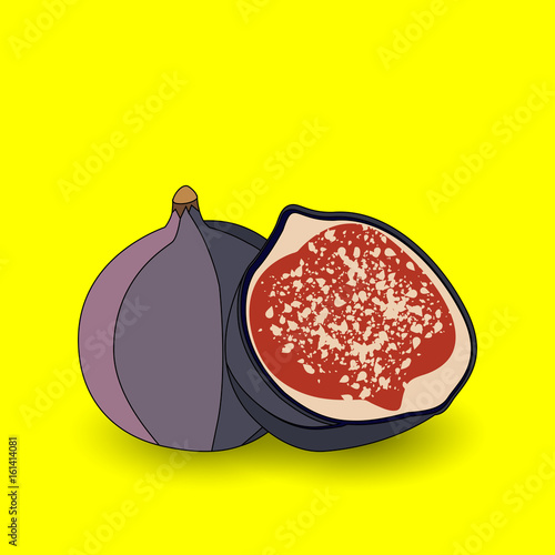 Figs fruits. Isolated whole and cut fig. Fruit product emblem for juice or jam label, packaging sticker, grocery shop tag, farm store