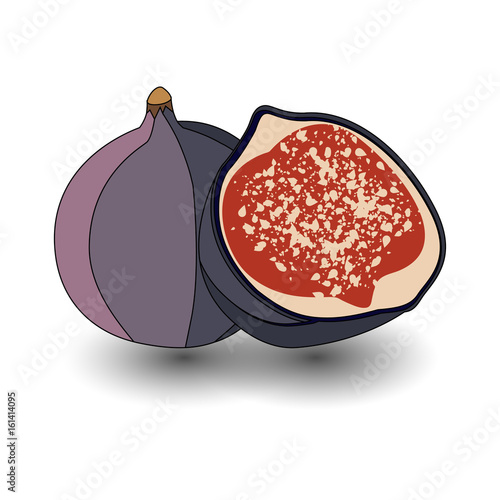 Figs fruits. Isolated whole and cut fig. Fruit product emblem for juice or jam label, packaging sticker, grocery shop tag, farm store