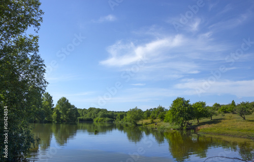 A small lake in a field with trees on the shore
