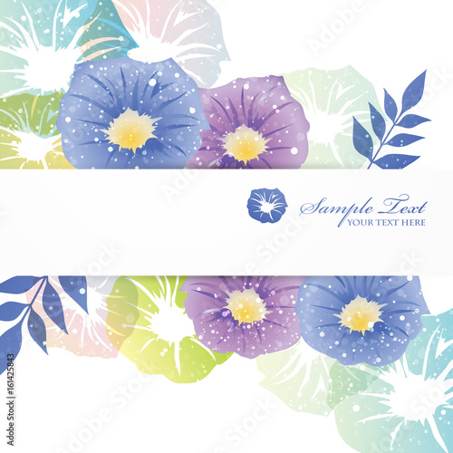 background of morning glory