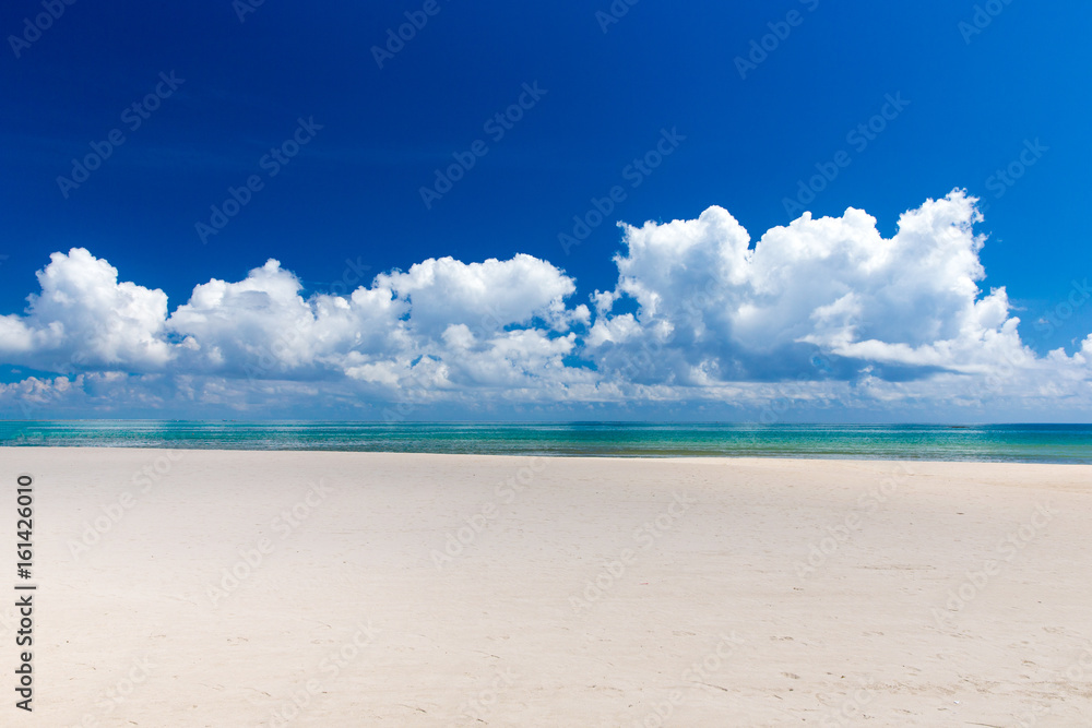Obraz premium beautiful beach and tropical sea