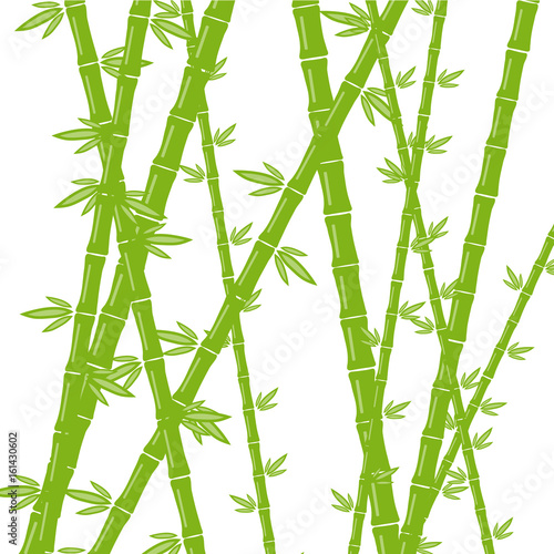 Fototapeta Naklejka Na Ścianę i Meble -  Green bamboo on a white background