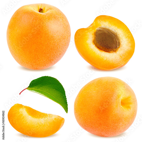 Vászonkép Isolated apricot