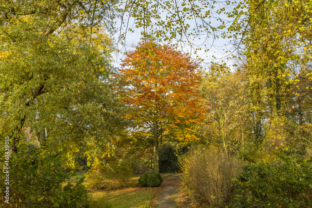 Autumn Impression at Park in Krefeld/ Germany Autumn Impression at Park in Krefeld/ Germany