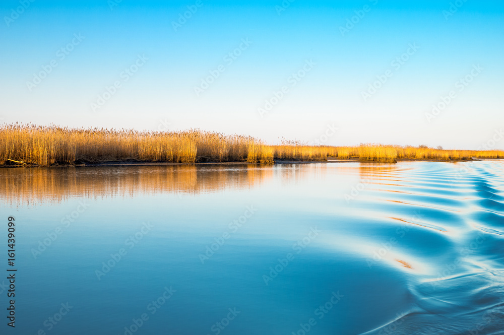 The park of the river Po estuary The park of the river Po estuary