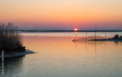 The  park of the river Po estuary