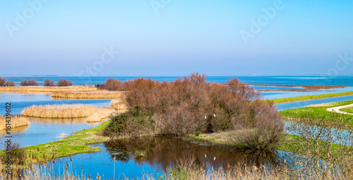 The park of the river Po estuary