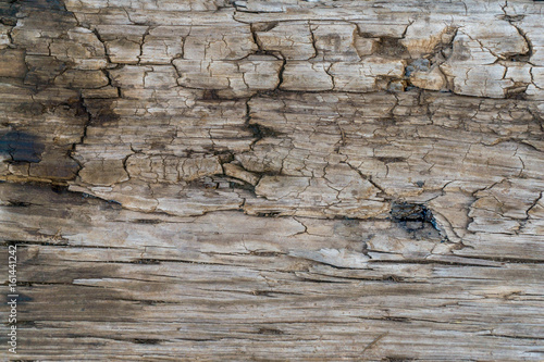 Chipped  wood