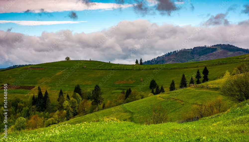 Obraz premium rural fields on hills on cloudy day