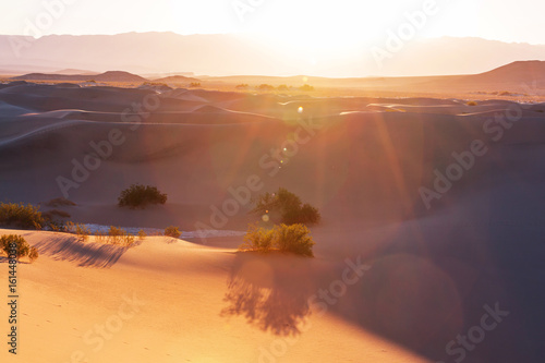 Sand dunes in California © Galyna Andrushko