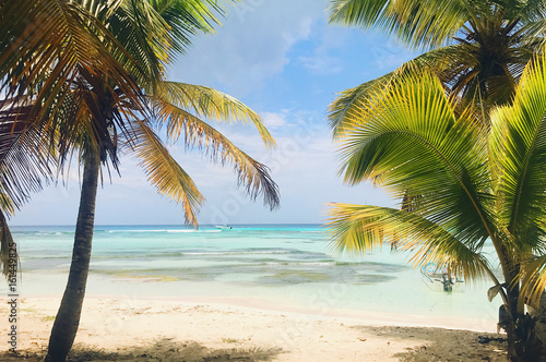 Fototapeta Naklejka Na Ścianę i Meble -  Tall palms raise to the cloudy sky on beach in Dominican Republic
