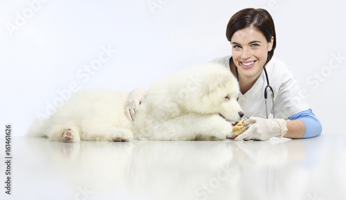 Fototapeta Naklejka Na Ścianę i Meble -  smiling Veterinarian with dog and food, on table in vet clinic, animal diet concept