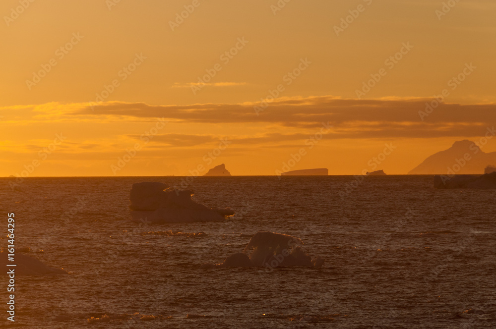 Icebergs in the evening light