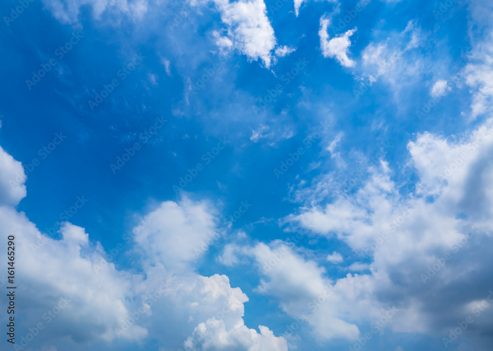 Obraz premium blue sky with white fluffy cloud