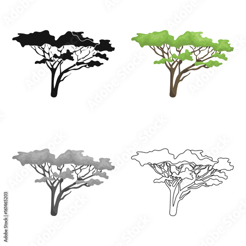 Tree in the savannah.African safari single icon in cartoon style vector symbol stock illustration web.