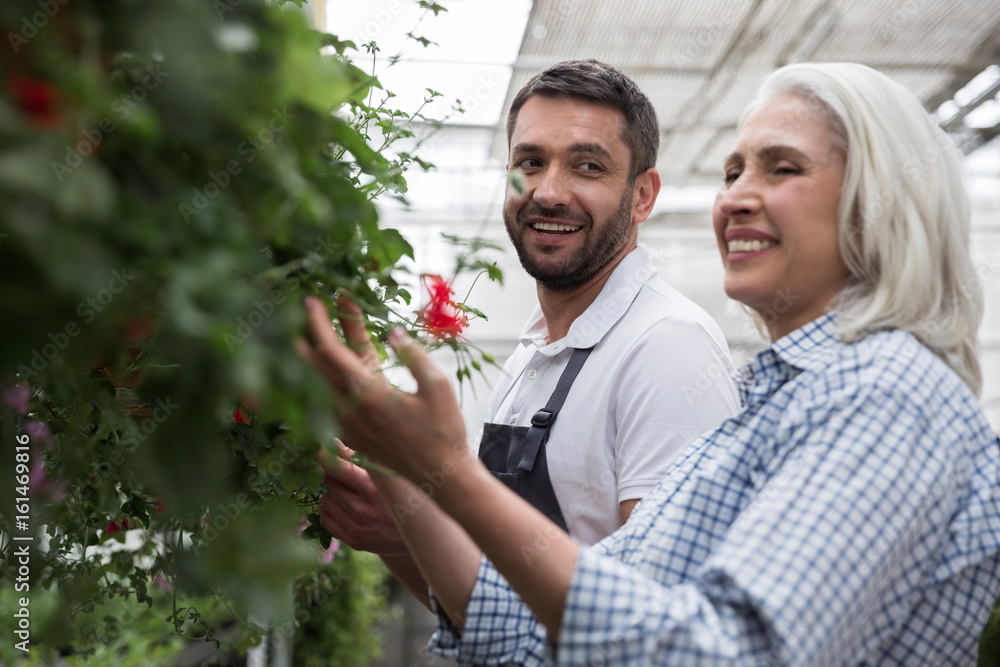 Mature happy woman standing in greenhouse near young bearded man Mature happy woman standing in greenhouse near young bearded man
