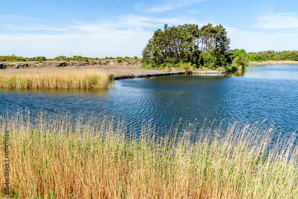 Naklejka premium Waterfilled limestone quarry turned into a recreational hiking area after mining operations closed. Location Oland in Sweden.