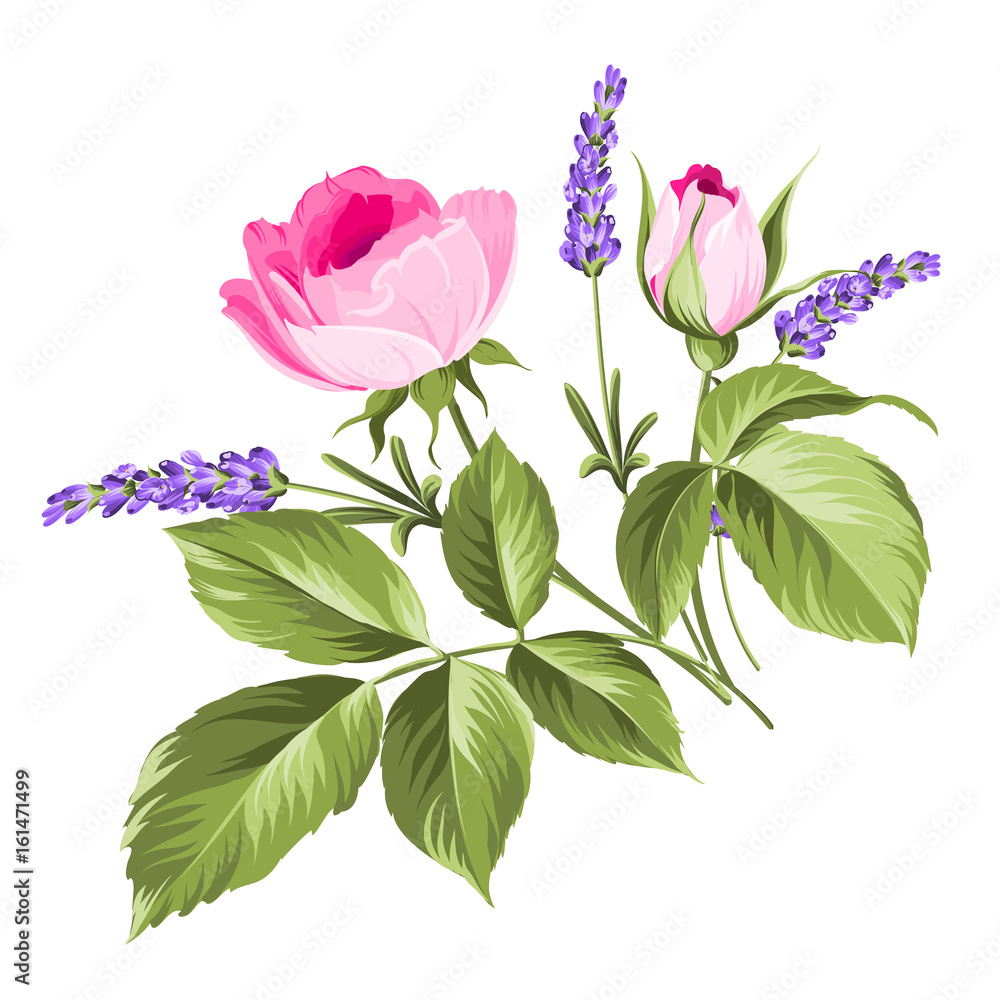 Fototapeta premium Wedding flowers bouquet of color bud garland. Label with rose and lavender flowers. Vector illustration.