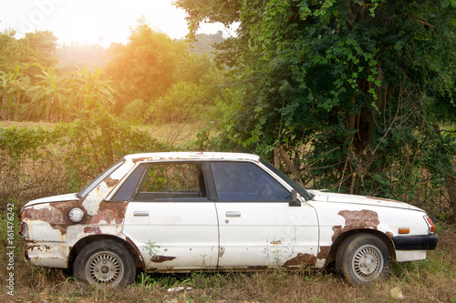 Old car parked in the jungle.