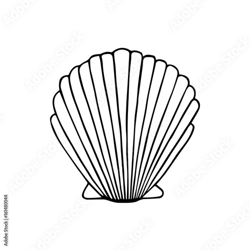 Sea shell doodle drawing, vector illustration isolated on white background. Sea scallop shell black outline.