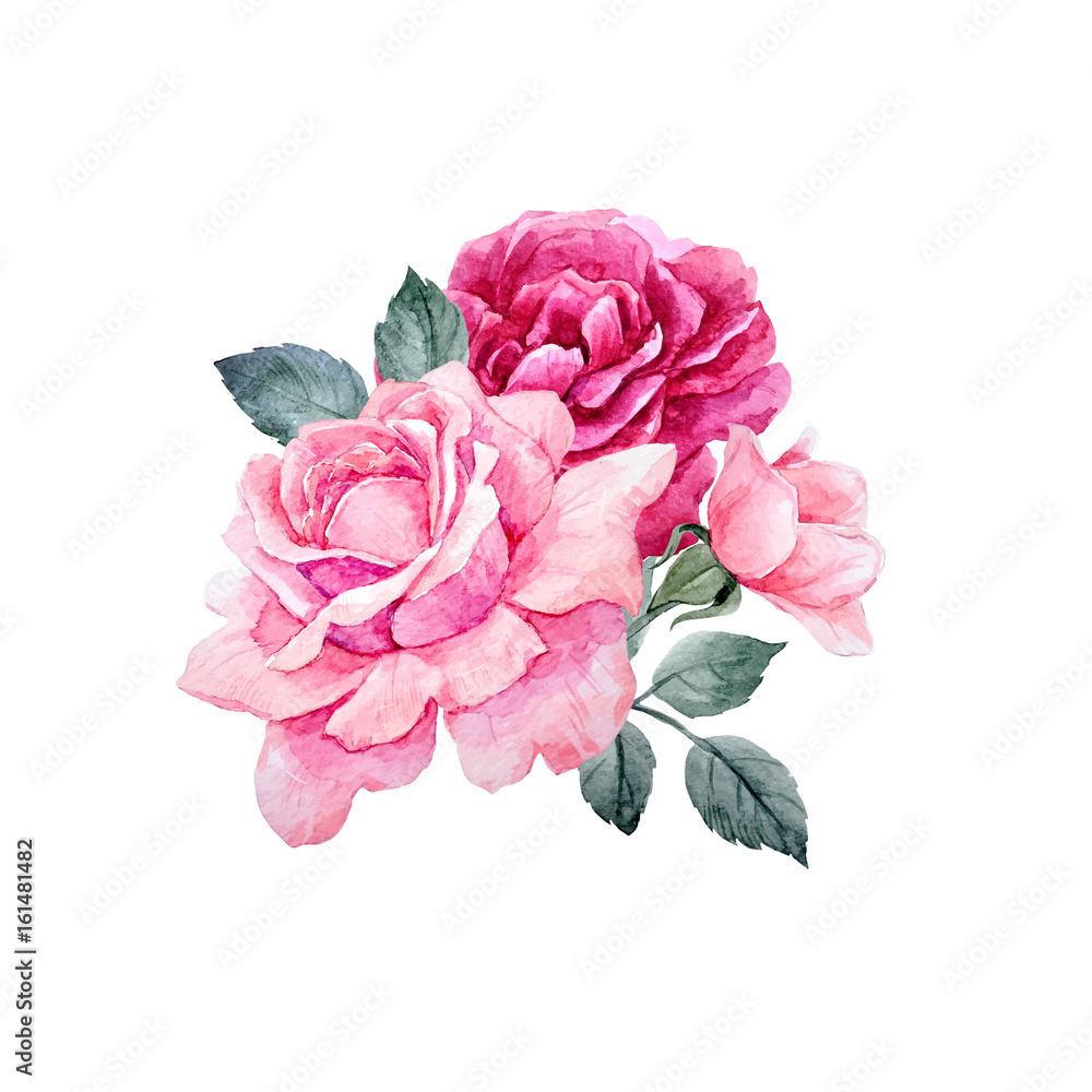 Watercolor vector roses composition - obrazy, fototapety, plakaty 