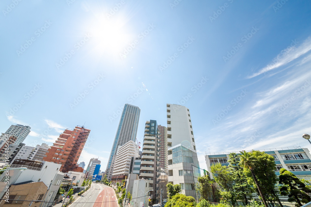 Obraz premium 東京の空