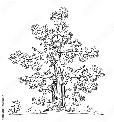 Hand drawn tree with birds